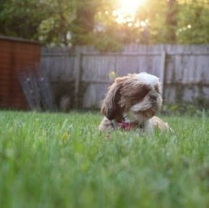 Meet your Posher, Zahara